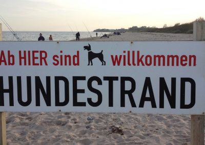 Hundestrand in Weidenfeld