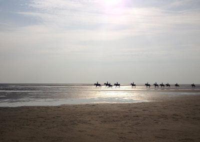Ausritt im Watt von St. Peter-Ording